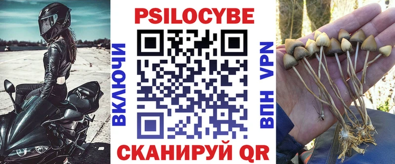 Галлюциногенные грибы прущие грибы  Талдом 