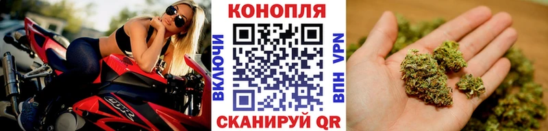 где купить наркоту  Талдом  Бошки Шишки сатива 